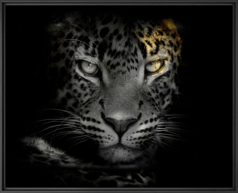 Печать фотографий на бумаге YellowKorner животное ARCH-00100510 - Вид №1