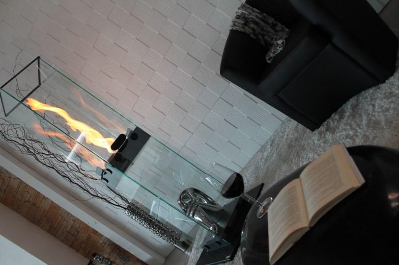 bioKamino Отдельно стоящий камин на биоэтаноле без дымохода sun-id-1404493 - Вид №11