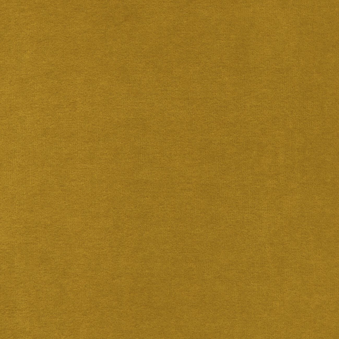 Бархатная однотонная ткань Élitis Palatine ARCH-00143253 - Вид №1