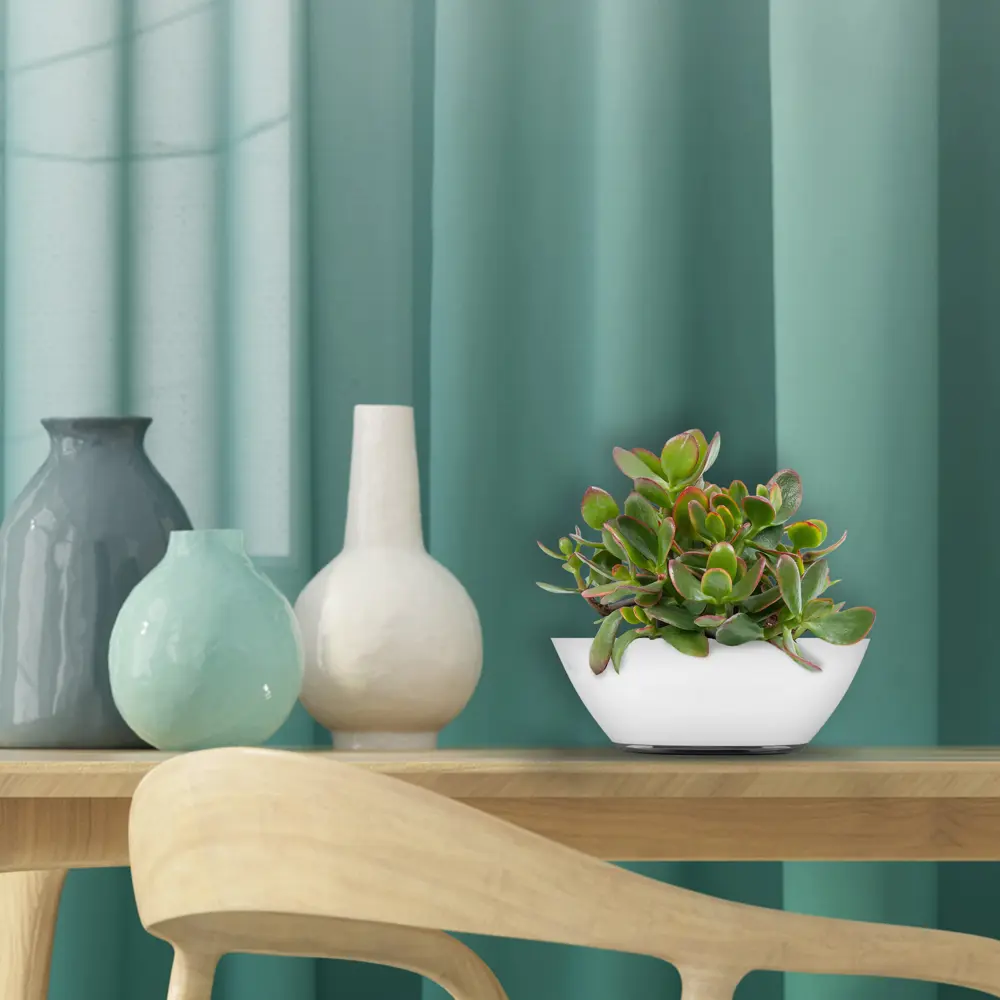 Кашпо Лодочка ø20 h10 см v1 л пластик белый Santreyd STLM-2005224 - Вид №3