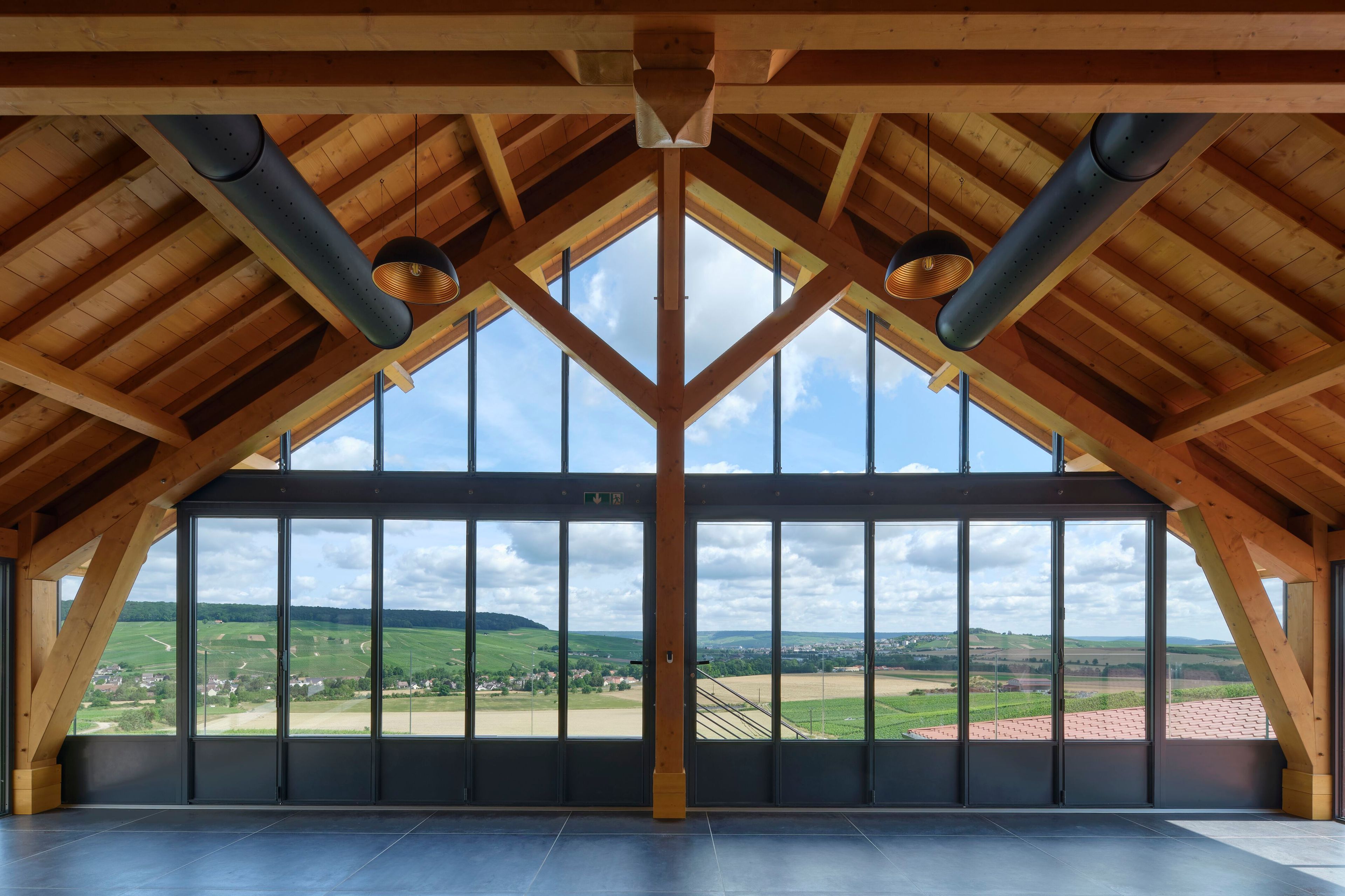 Стальная дверь для термической резки Ottostumm | Mogs Ferrofinox TB ARCH-00000121 - Вид №12