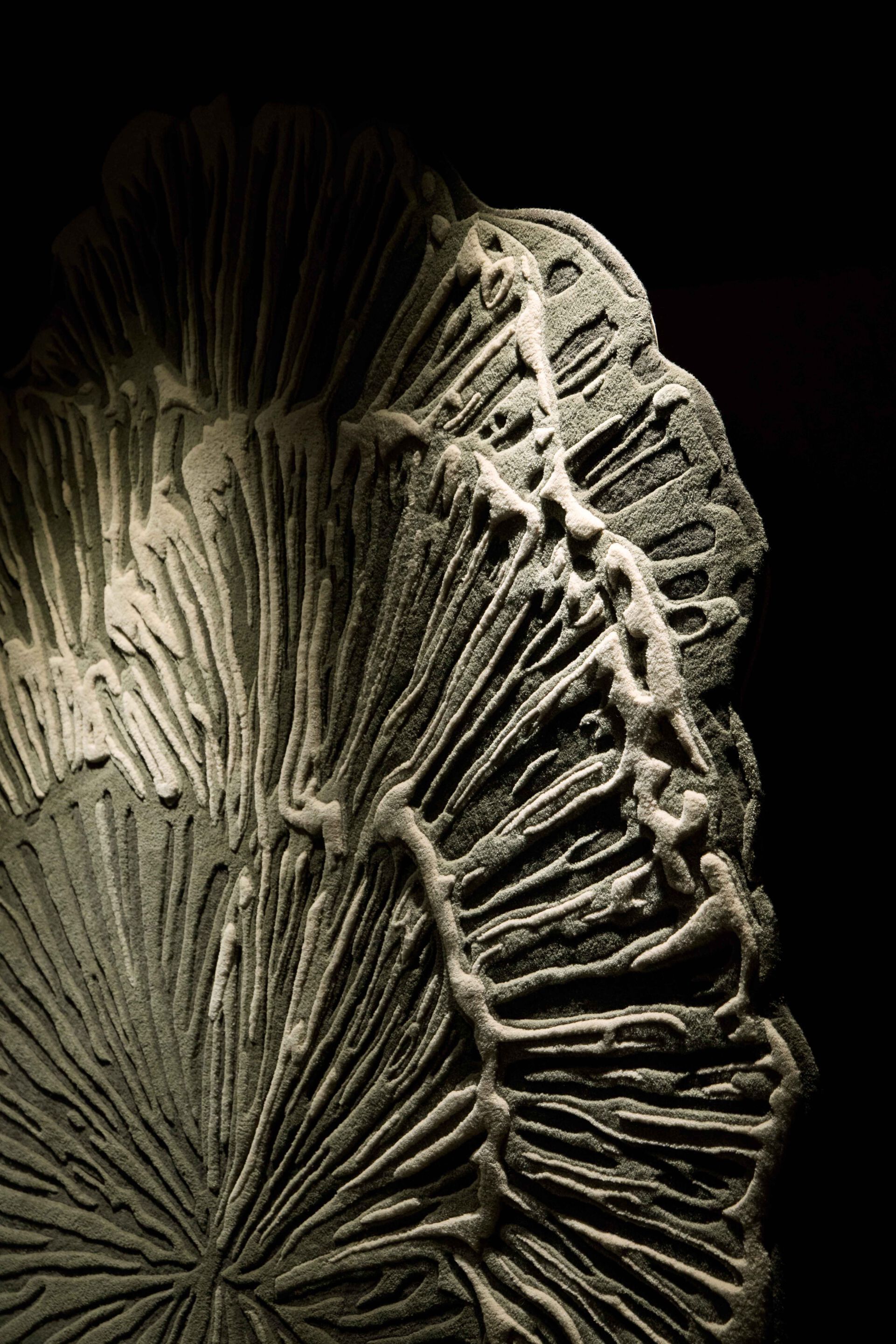 Шерстяной ковер GAN ботаника ARCH-00137184 - Вид №7