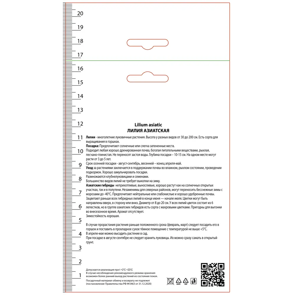 Лилия азиатская Тренди Никосия ПОИСК STLM-2206864 - Вид №1