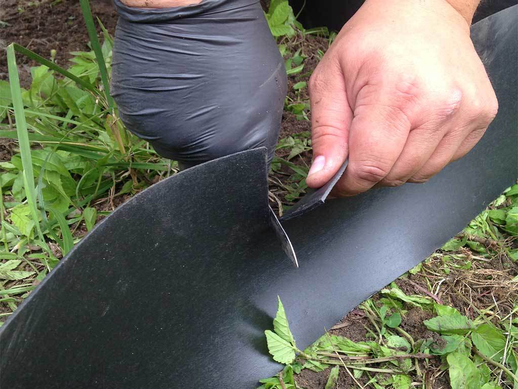 Лента бордюрная 200 мм x 10 м, 2 мм ГеоПластБорд GPBST-37 - Вид №7