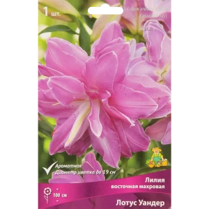 Лилия восточная Мах Лотус Уандер 85205755 STLM-2050582