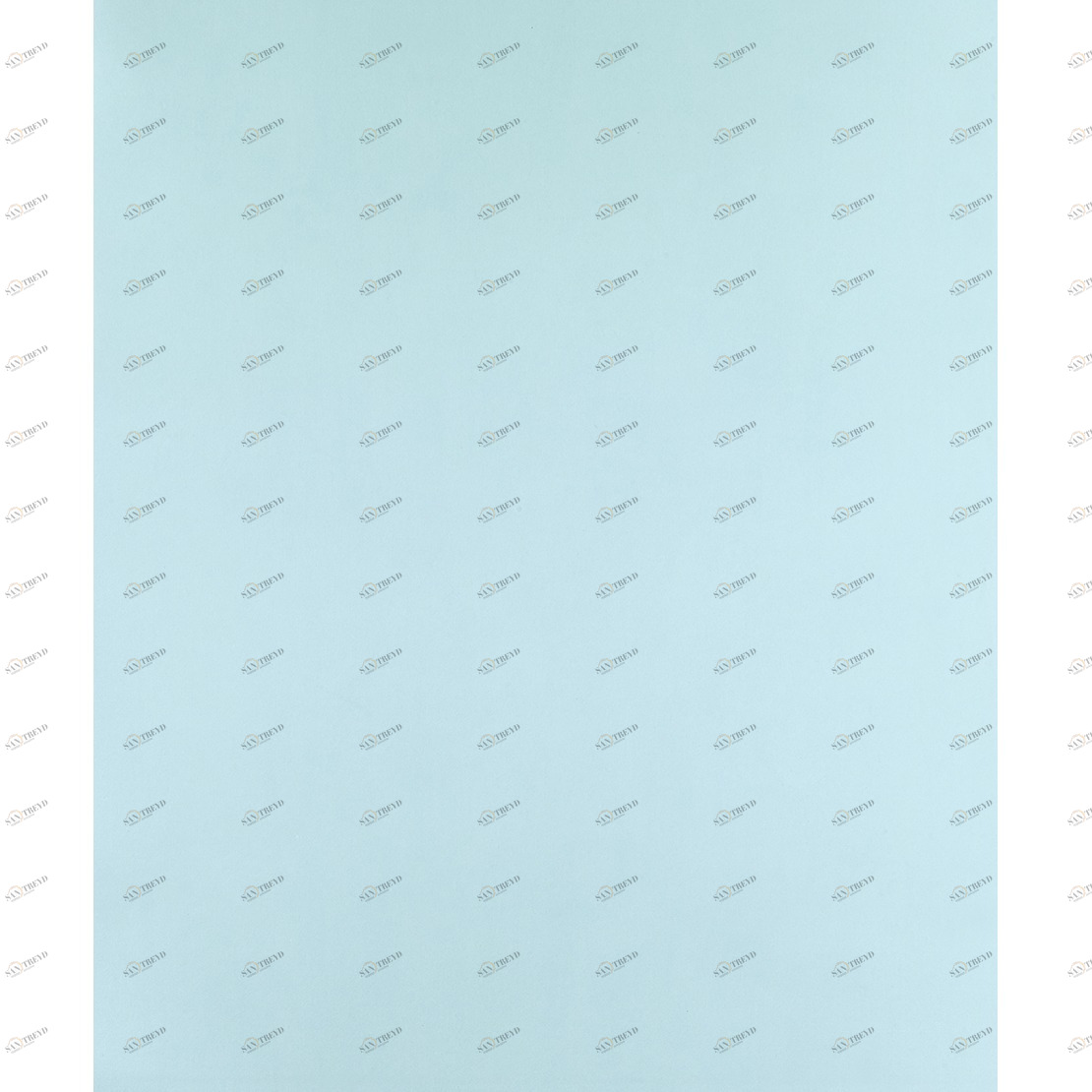 Рулон обоев ALICE & PAUL AEP16086101. Основа Casadeco