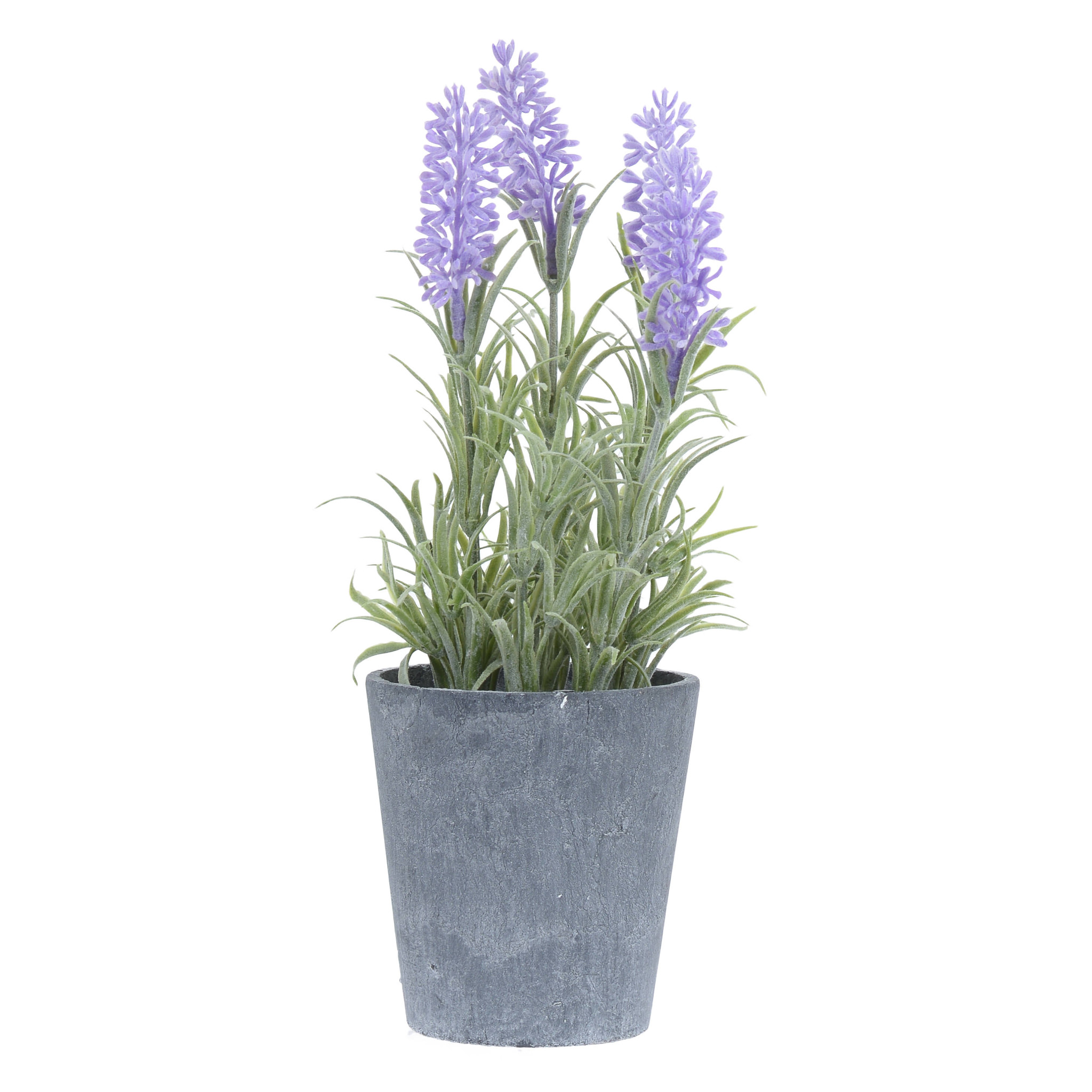 3885475.0139 Металлический горшок с лавандой TO4ROOMS  - Вид №1
