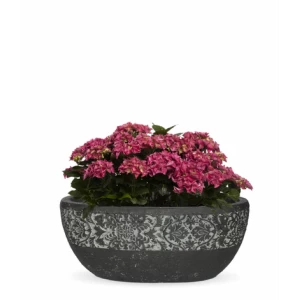 Вазон из искусственного камня с резным бордюром 30 см черный "Пуатье" CAPI EUROPE FLORERO 044753 Черный