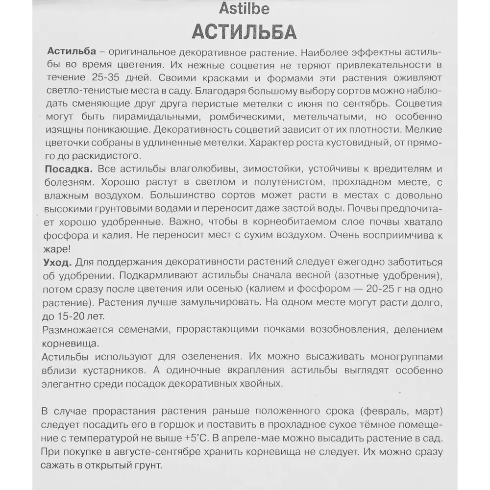 Астильба Арендса Рэззл дэззл луковица I 88294697 STLM-2141868 Santreyd  - Вид №2