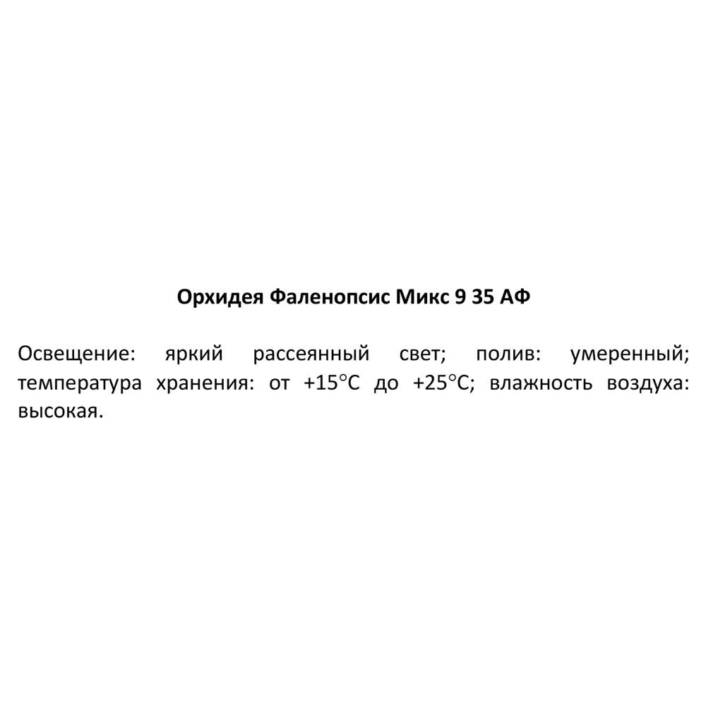 Santreyd Орхидея Фаленопсис микс - цветущая бабочка в вашем интерьере 85324974 STLM-0061535 - Вид №7
