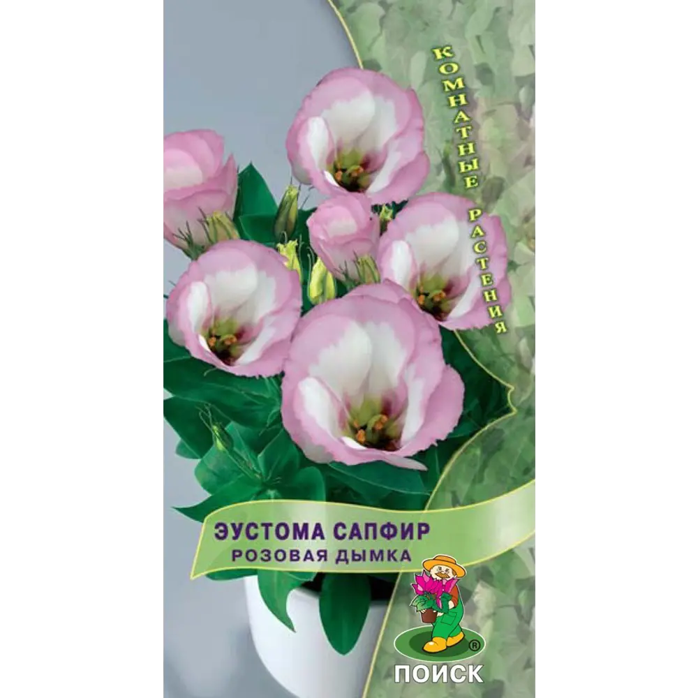 Эустома Сапфир Розовая дымка от ПОИСК — нежные цветы для дома и сада 82984213 STLM-1566541
