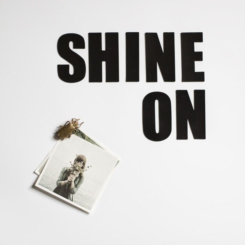 Groovy Magnets Бронзовый магнит  M-beetle  - Вид №1