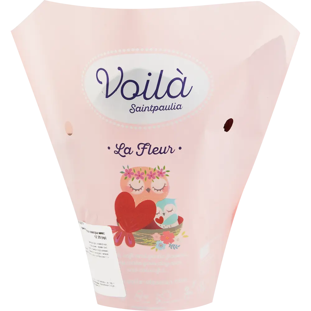 Santreyd Фиалка Иннова Спектра — комнатное растение с бархатными листьями 86750214 STLM-0071265 - Вид №4