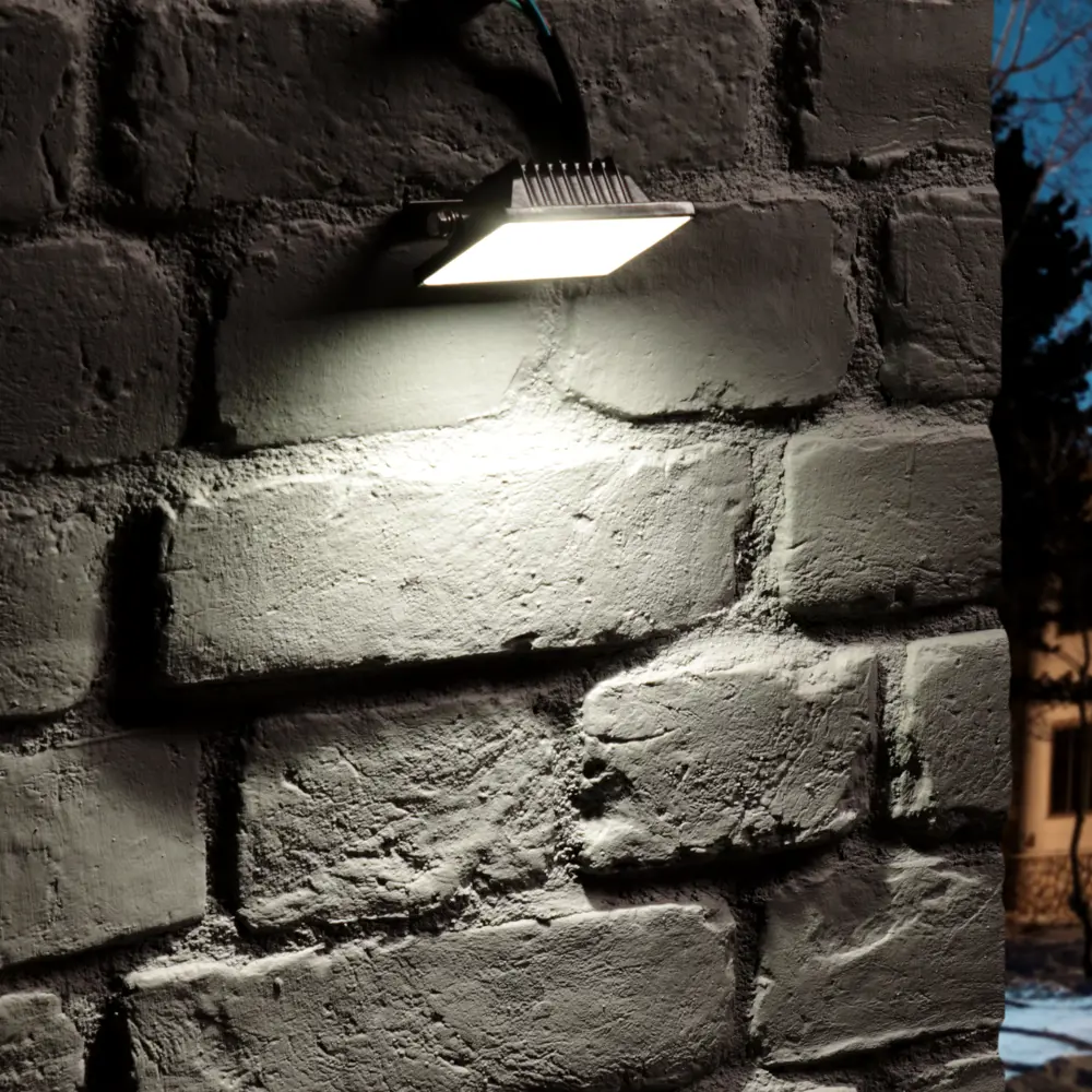 Светодиодный прожектор Ritter Profi для уличного освещения 10Вт 83986894