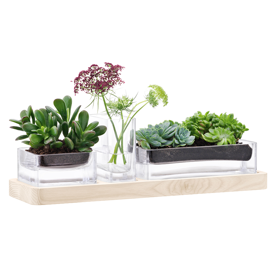 G1385-00-301 Набор из 3 контейнеров и подставки modular 41 см LSA International  - Вид №5