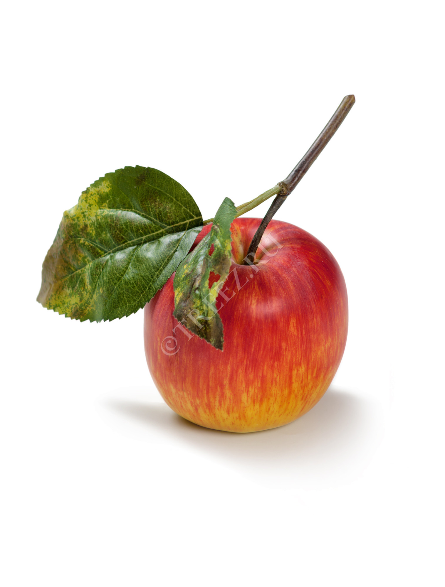 30.03110134RDYL Яблоко красно-жёлтое на веточке Цветочная коллекция 