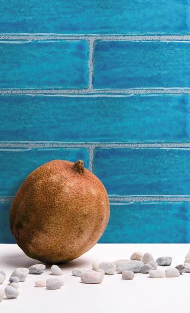 Danilo Ramazzotti Внутренняя облицовка майоликой Mare Ma3q - Вид №2