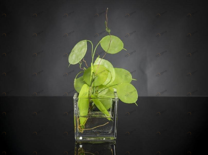 VGnewtrend Искусственное растение  1141714.60 