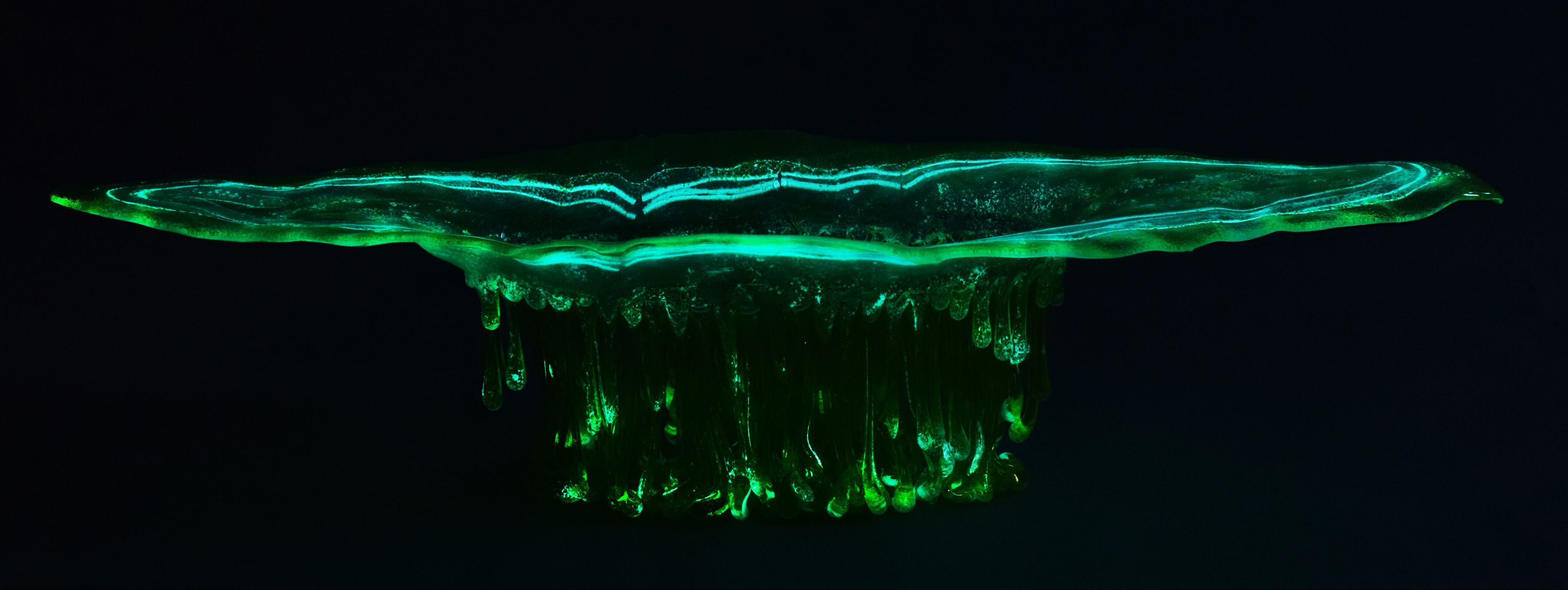 Стеклянная скульптура / центральный элемент Mosche Bianche Fluid Glass ARCH-00112769 - Вид №1