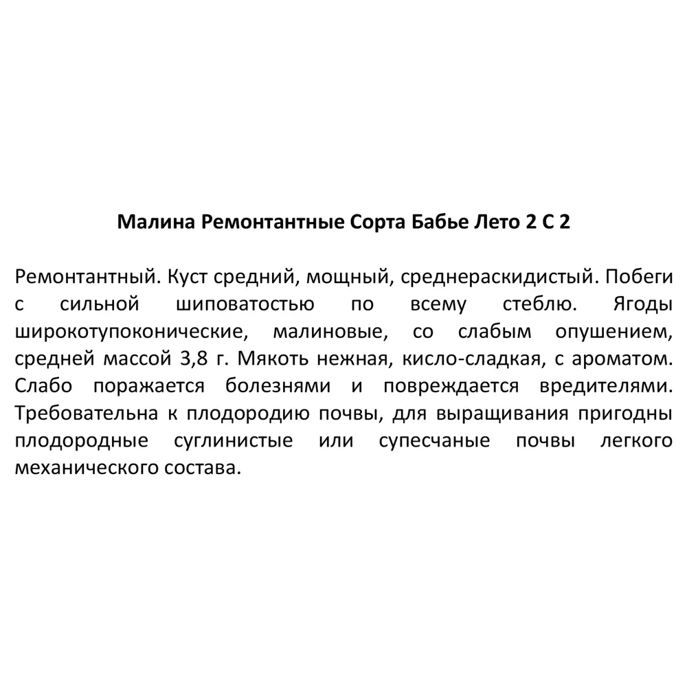 Santreyd Малина ремонтантная Брусвяна - крупноплодный сорт с двойным урожаем 17897387 STLM-0008949 - Вид №3