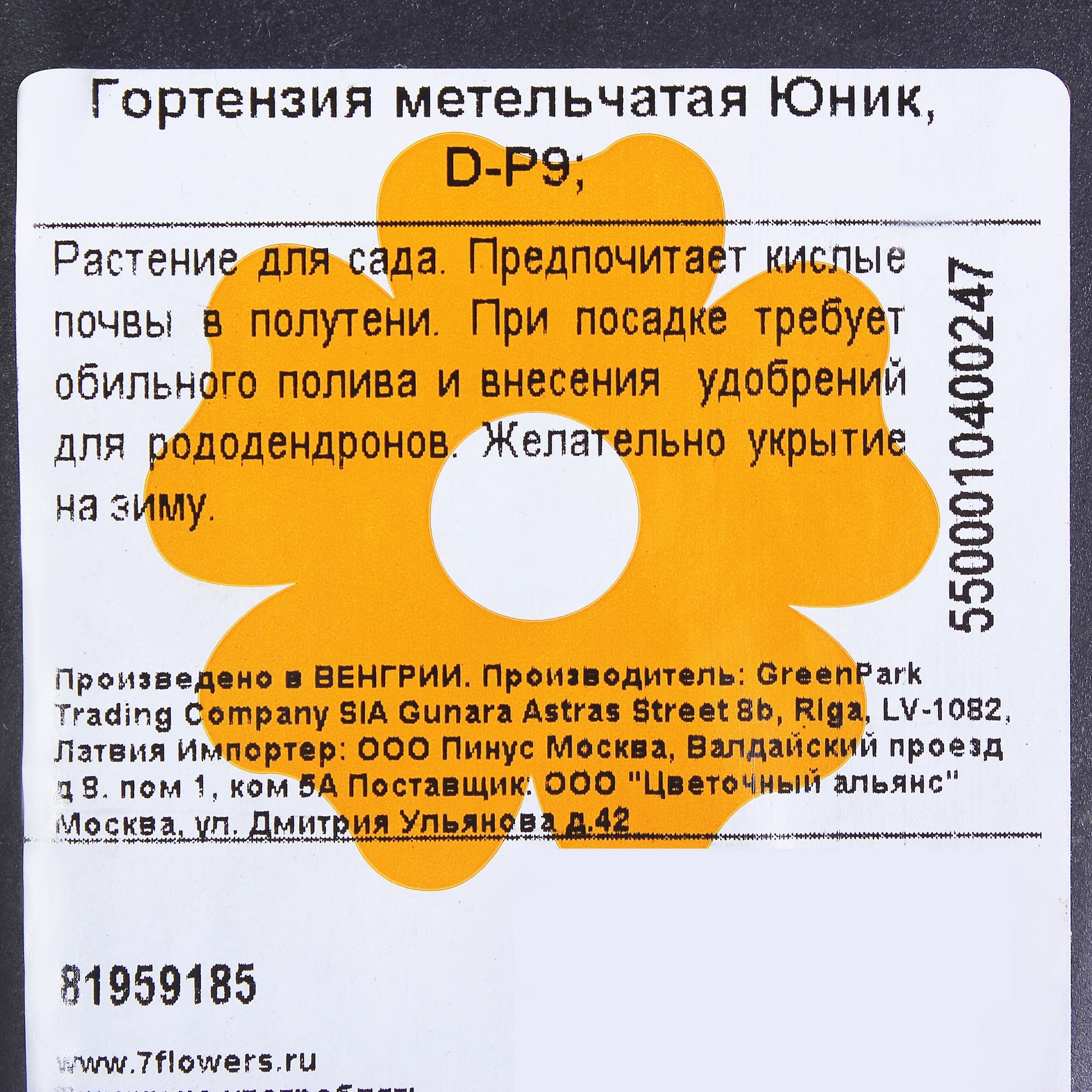 81959185 Гортензия метельчатая «Юник» Р9 Santreyd 