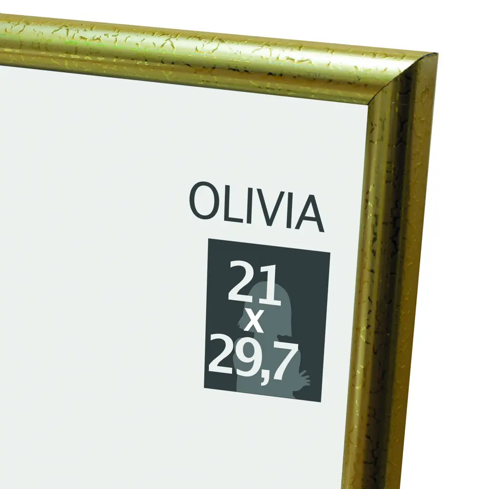Рамка Olivia 21x29.7 см пластик цвет золото 86107658 STLM-2053862 Santreyd 