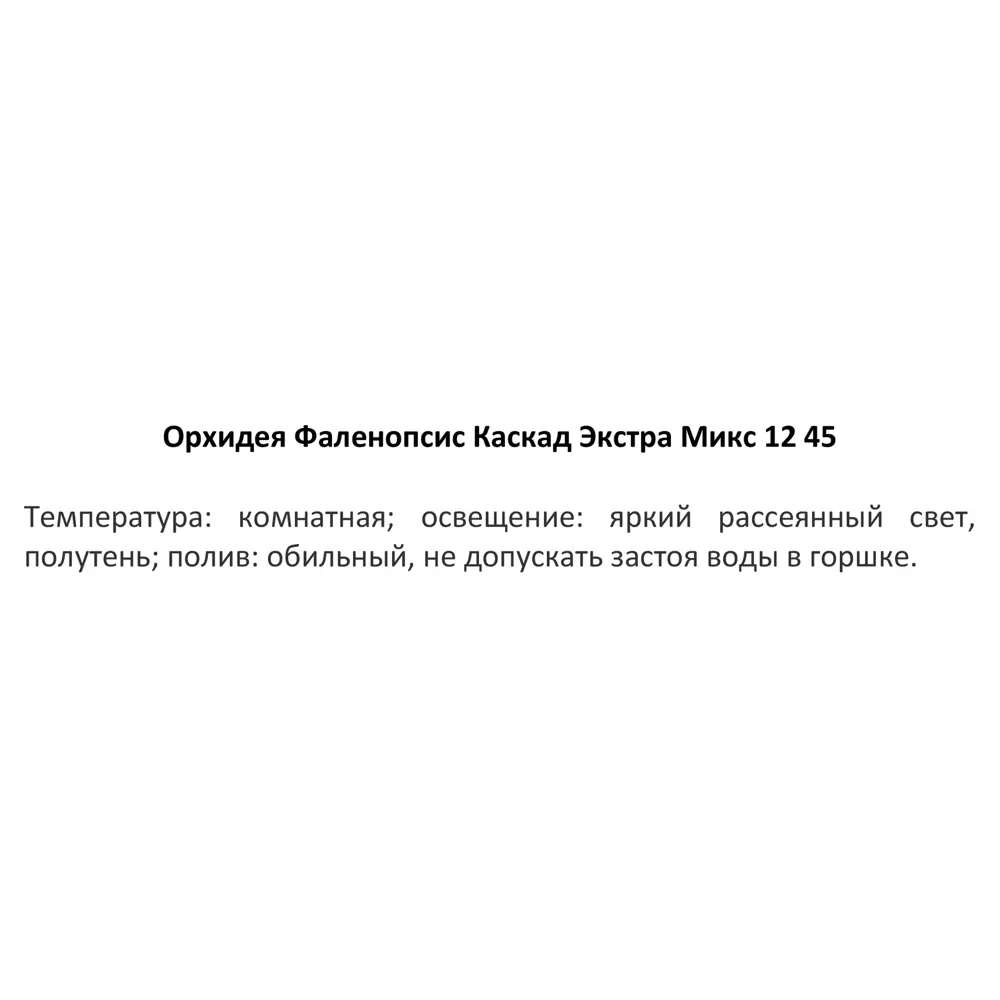 Орхидея фаленопсис каскад 1рр ø12 h40 см 83985962 STLM-2068795 Santreyd  - Вид №3