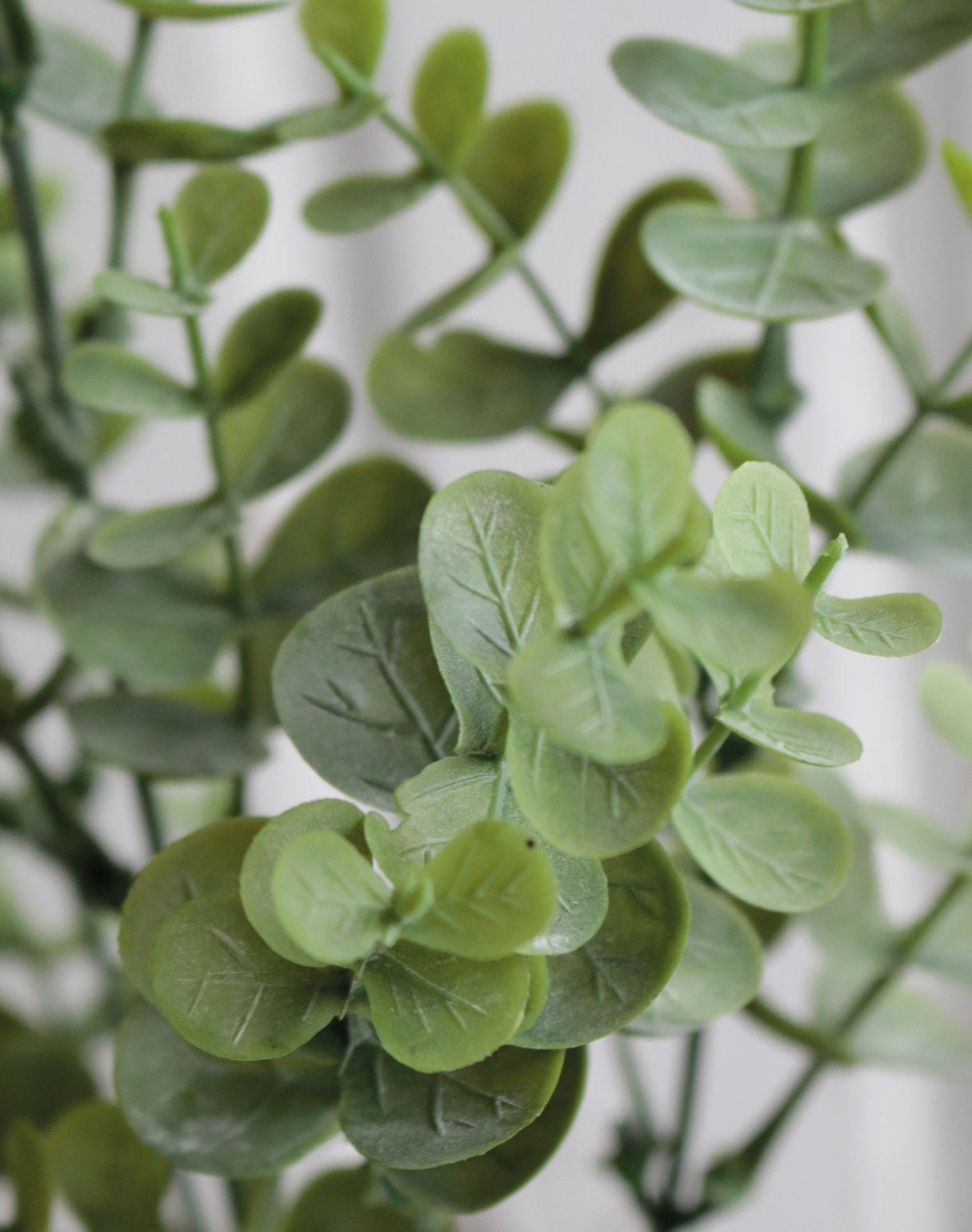 5323 883 a3 Искусственный куст эвкалипта, 30 см, зеленый H-andreas 