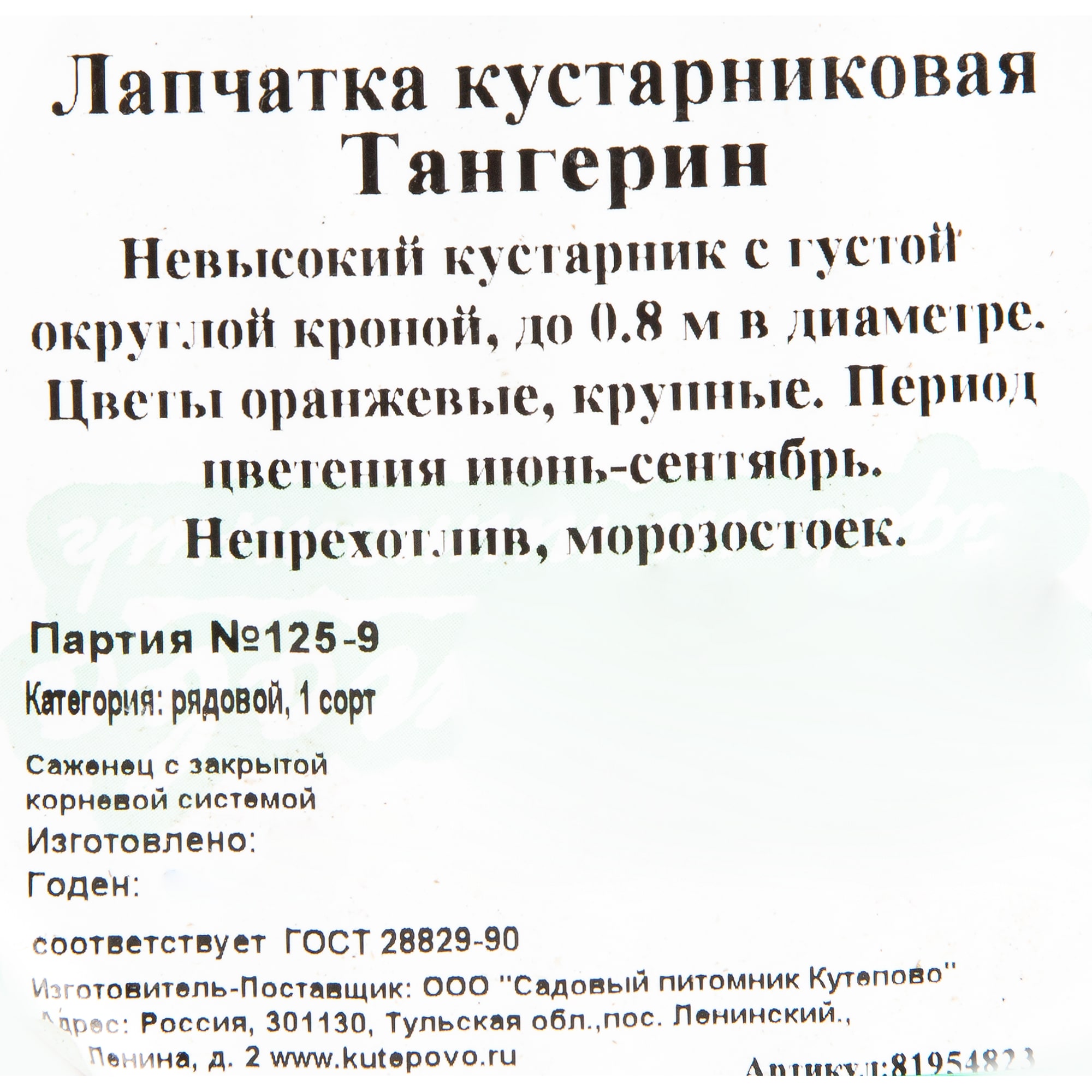 81954823 Лапчатка кустарниковая С2 «Танжерин» h30 Santreyd 