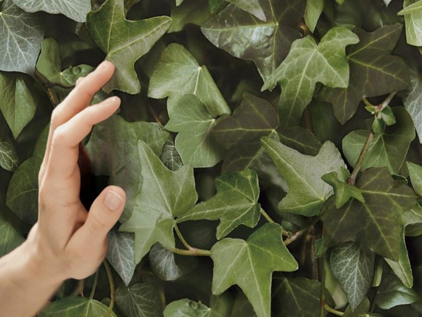 Koziel Обои на стену  8888-401  - Вид №6