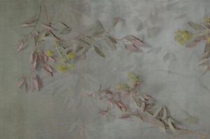 Обои с цветочными мотивами