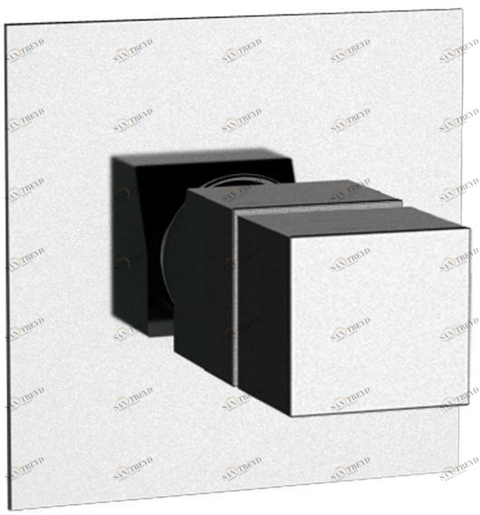 Remer Rubinetterie Кран для душа Qubika thermo Qt 30