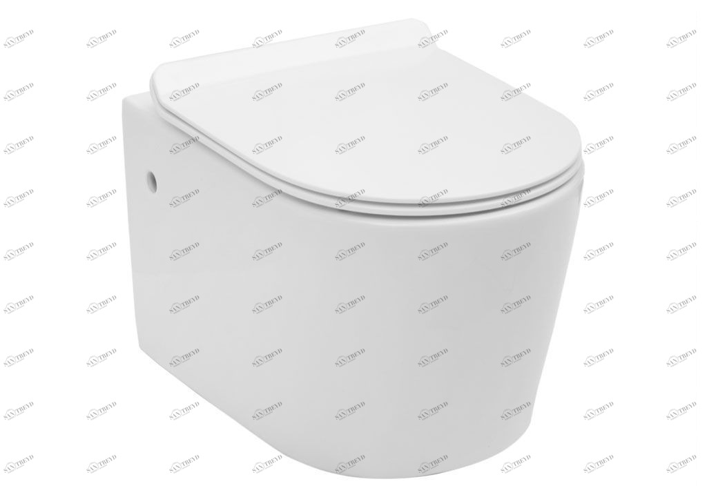 BL104NWHTH Подвесной унитаз настенный Белый Aquanet ATAGO Китай