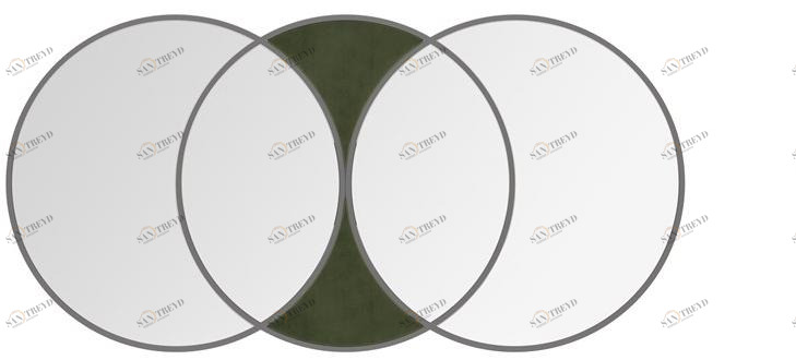 Domkapa Зеркало с настенной рамой sun-id-1496518