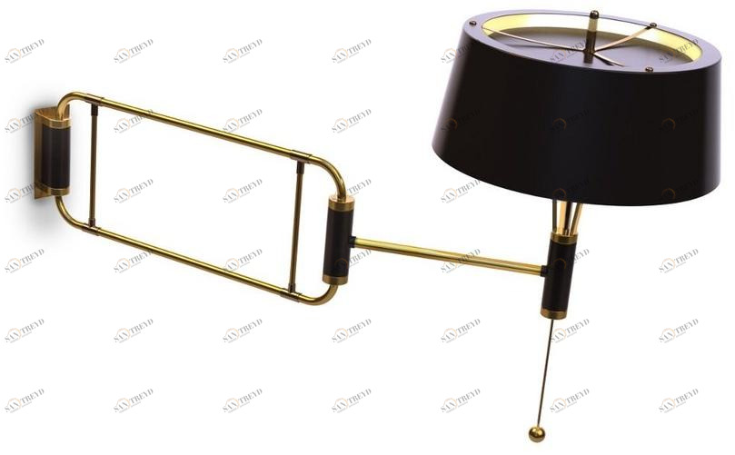 Delightfull Регулируемый настенный светильник с гибким кронштейном Miles sun-id-1436964