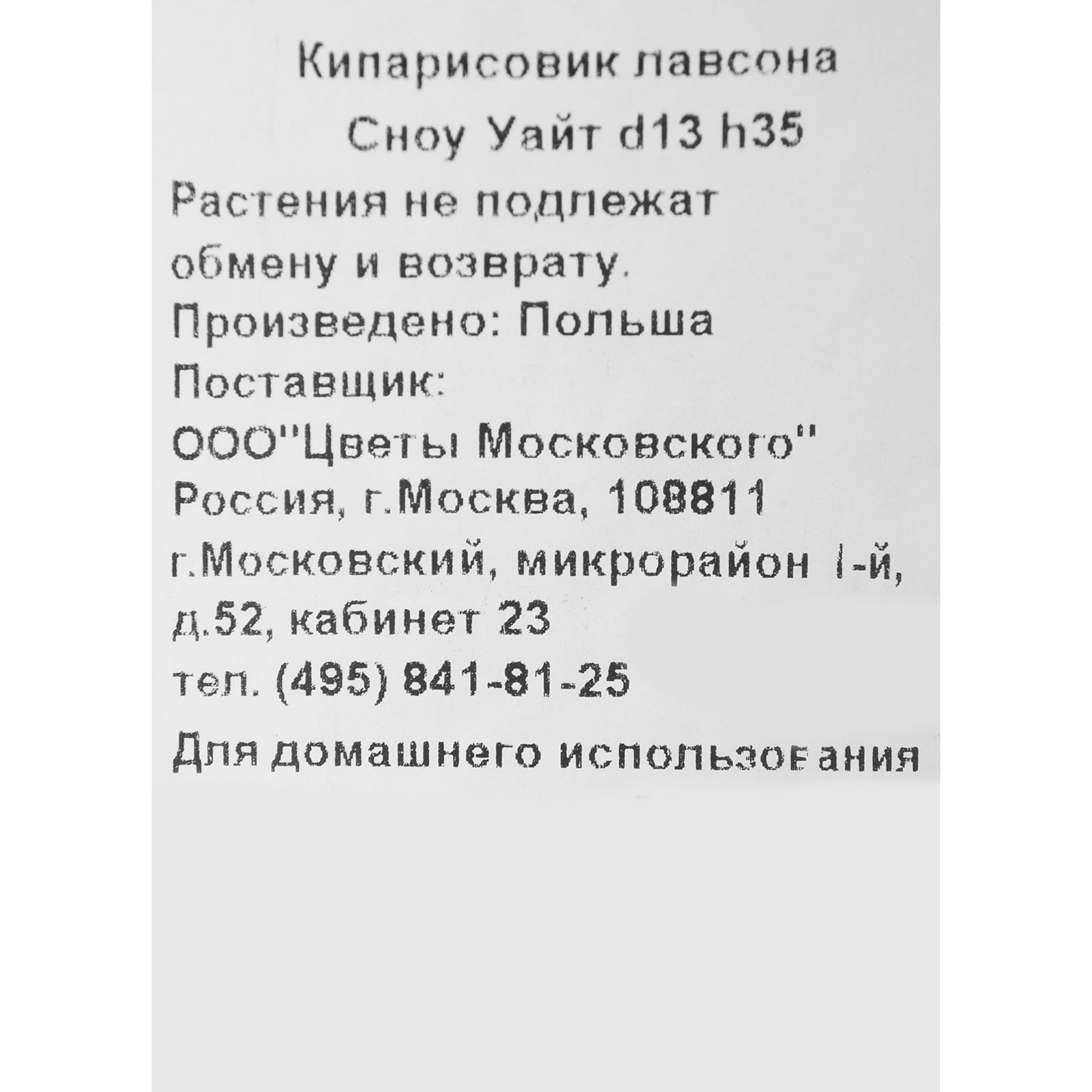 82219021 Кипарисовик Лавсона «Сноу Уайт» 1 л h35 см Santreyd  - Вид №1