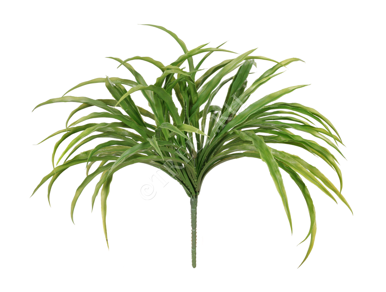 20.091401N Трава Ванилла Грасс зелёная Цветочная коллекция 