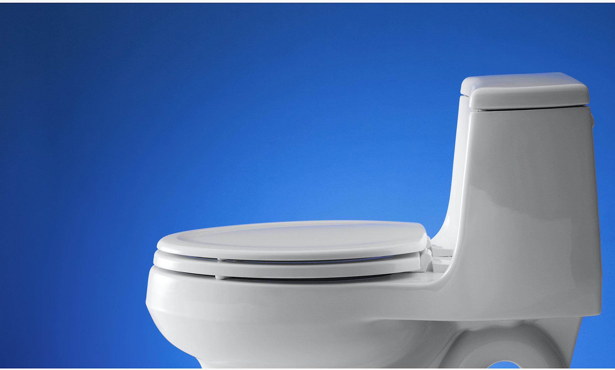 KOHLER Удлиненное сиденье для унитаза Stonewood K-4647-0  - Вид №4