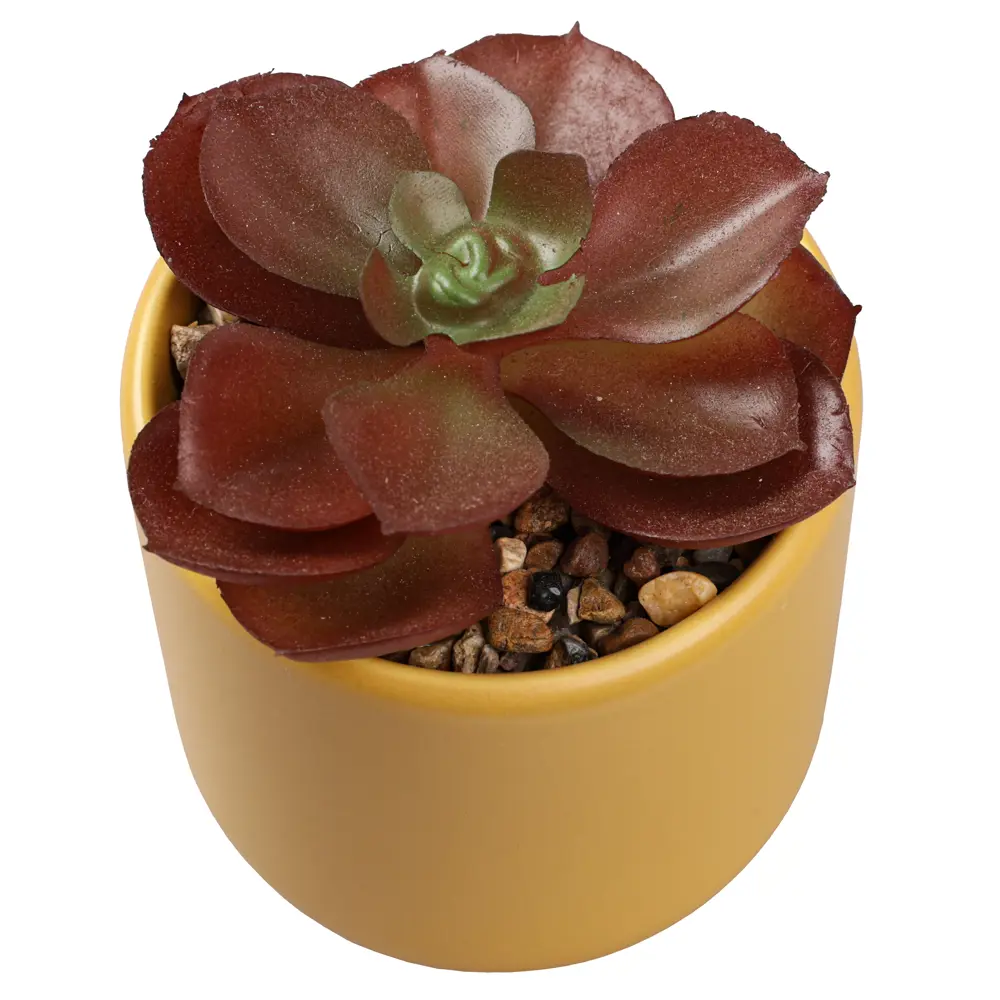 Искусственный суккулент Dream River в керамическом горшке 12 см 89432352 STLM-1578714 - Вид №2