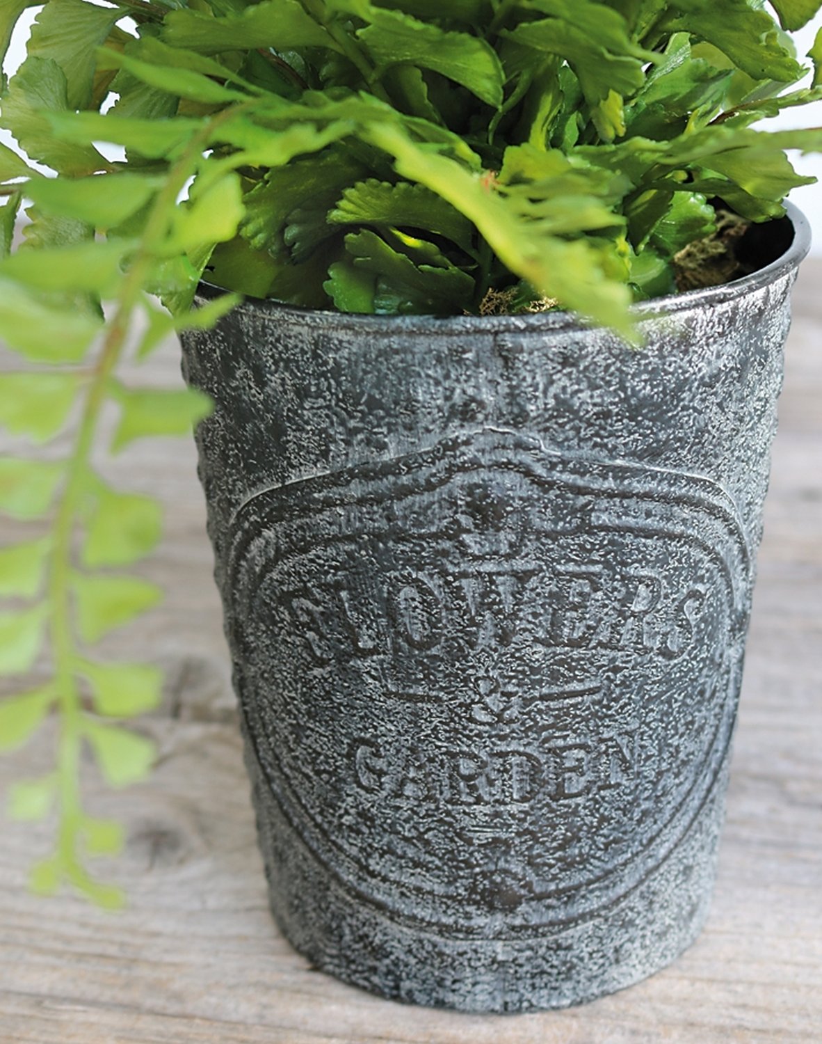 6535 883 a3 Фальшивый папоротник maidenhair, горшок, 35 см, зеленый H-andreas  - Вид №1