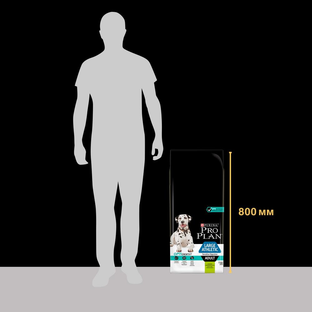 ПР0042528 Корм для собак для крупных пород атлетического телосложения с чувствительным пищеварением, ягненок сух. 14кг Pro Plan  - Вид №2