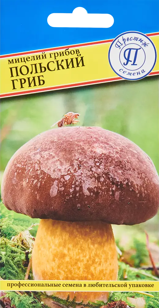 Мицелий грибов Польский от ПРЕСТИЖ СЕМЕНА для садового выращивания 86236830