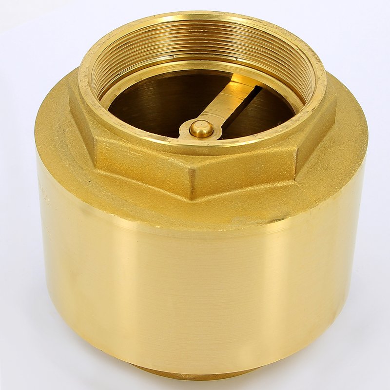 Клапан обратный пружинный EUROPA с металлическим затвором ITAP 4" 1004 - Вид №1