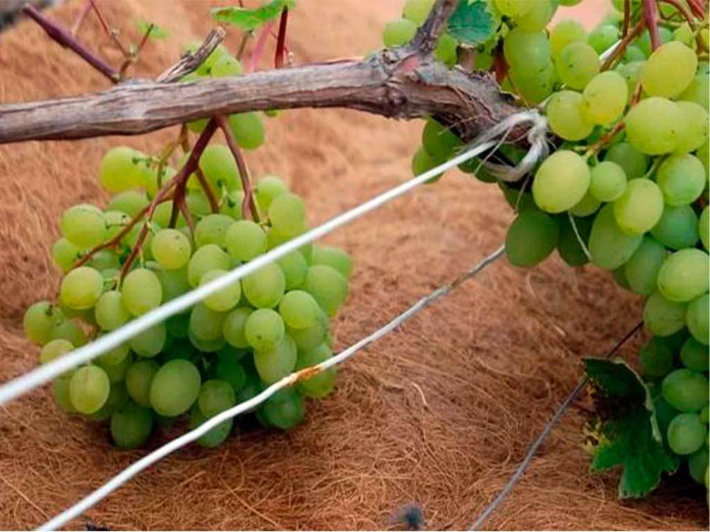 Мульча кокосовая Мульчаграм 0,75x3 м ГеоПластБорд GPBST-235 - Вид №12