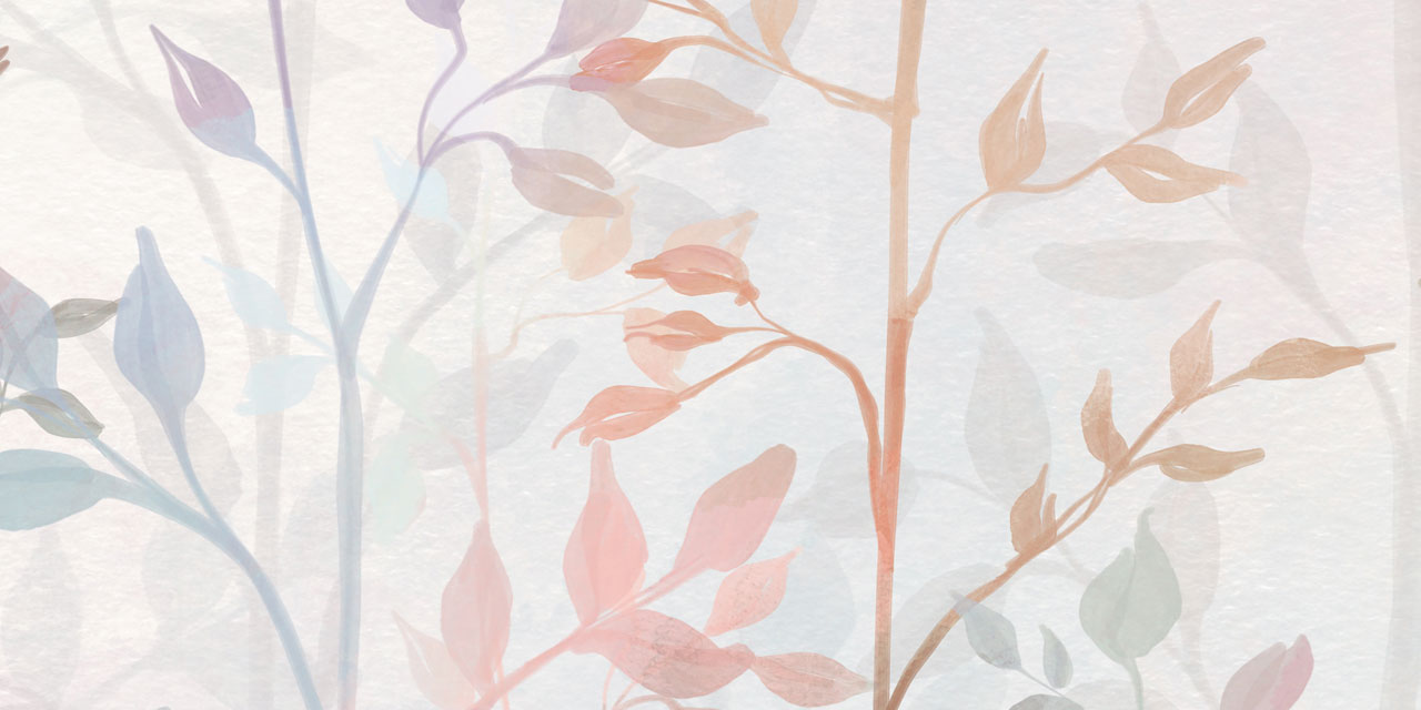 Стеновые панели - Радужный лес