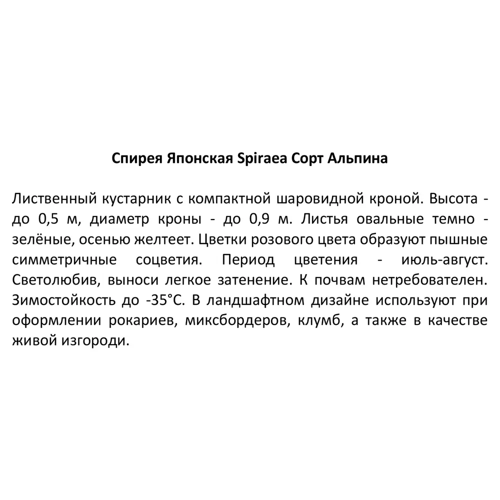 Спирея японская Альпина ø15 h20 см 85606799 STLM-2196890 Santreyd  - Вид №3