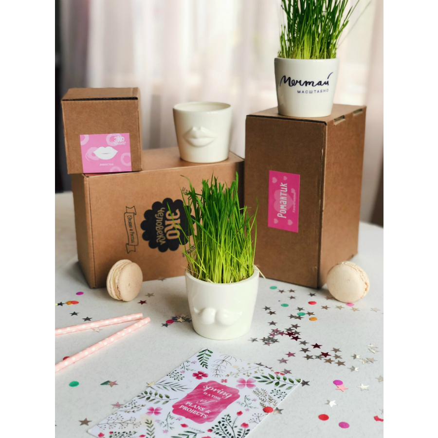 MIN-1-02 Набор для выращивания eco мини-кашпо «усы» Экочеловеки  - Вид №7