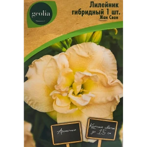 Лилейник Geolia гибридный Жан Свон 86408696 STLM-2194094