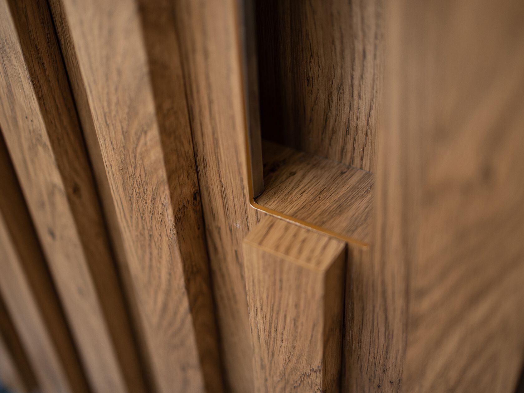 Алюминиевая поворотная входная дверь Roka TERRA ARCH-00128276 - Вид №3