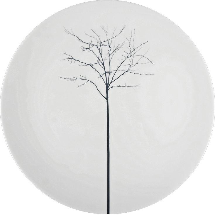 71198 Dibbern Блюдо для торта Dibbern "Чёрный лес" 32см Фарфор костяной 